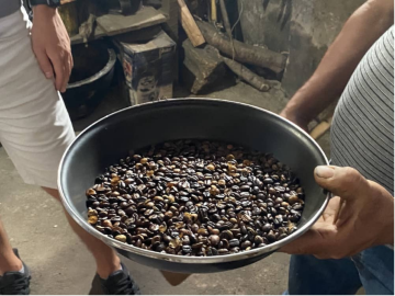Learning the process of coffee bean to go from bean to brew