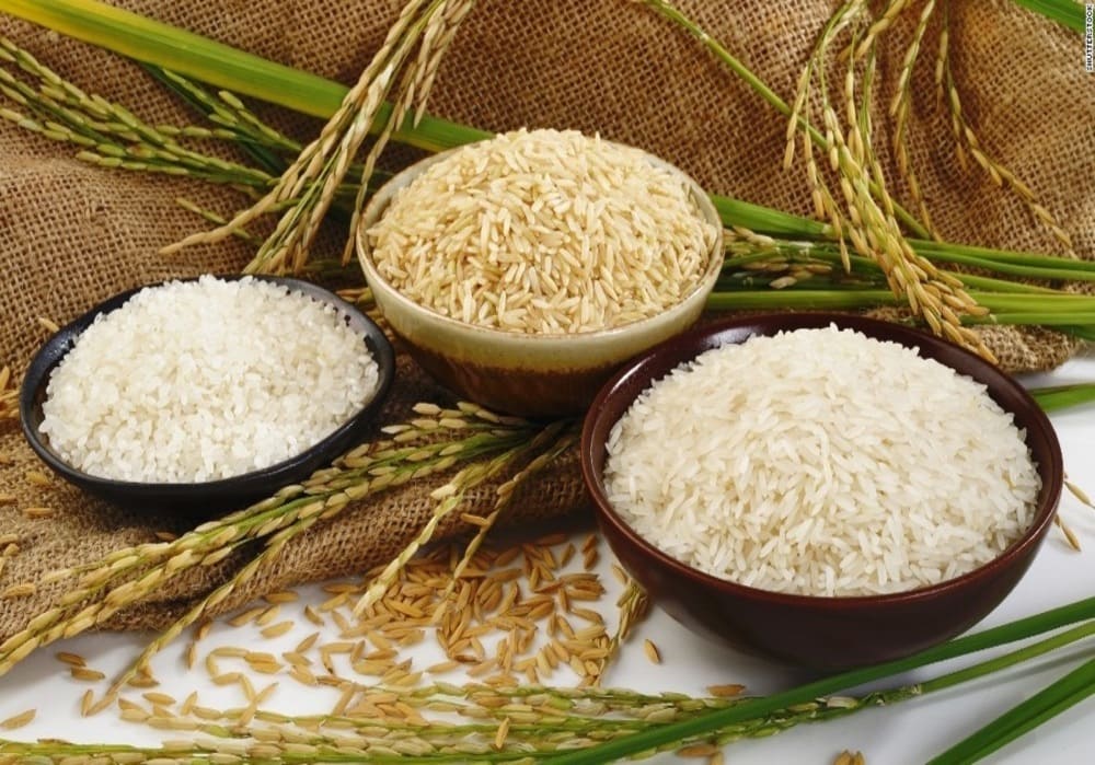 Customer case of rice color sorter in India