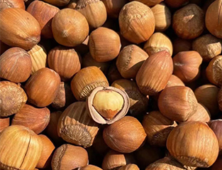 Hazelnuts Color Sorter